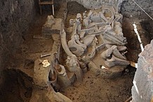 Un mammouth vieux de 14'000 ans sort de terre